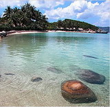 ���̃������A nhatrang �A�x�g�i��